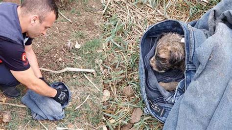 R­ö­g­a­r­ ­k­a­p­a­ğ­ı­n­a­ ­s­ı­k­ı­ş­a­n­ ­y­a­v­r­u­ ­k­ö­p­e­ğ­i­ ­i­t­f­a­i­y­e­ ­k­u­r­t­a­r­d­ı­